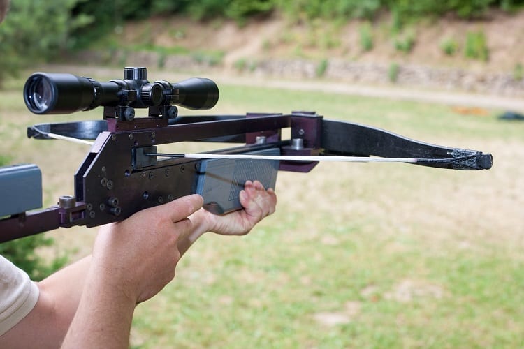 Scoped Crossbow In Hands