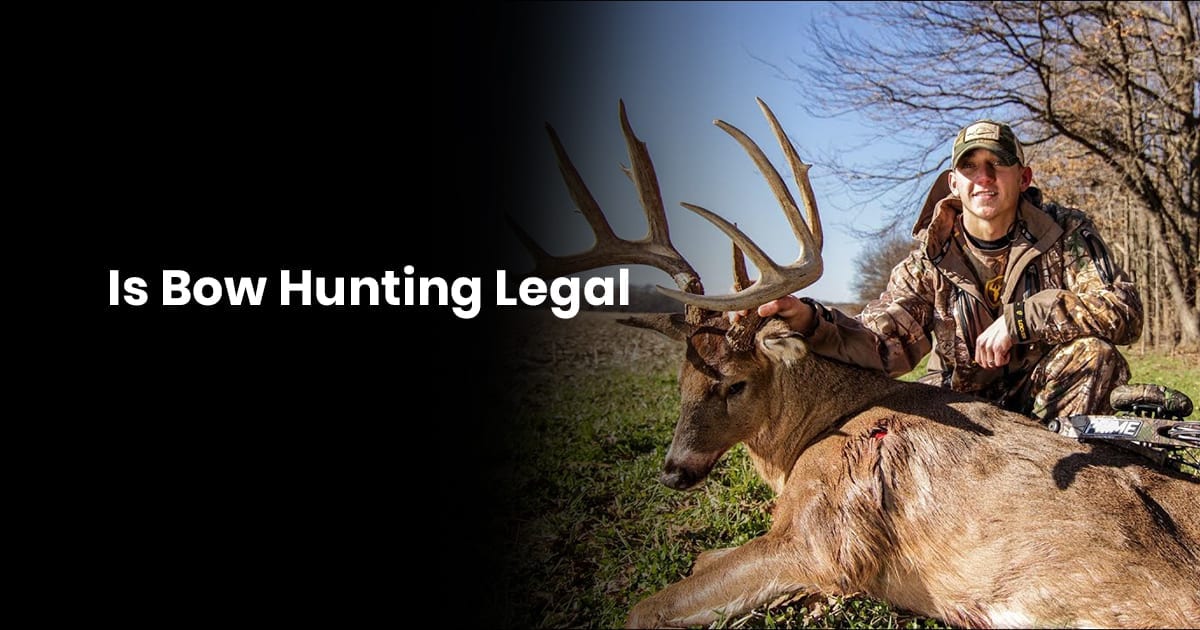 Is Bow Hunting Legal