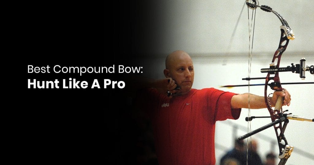 Best Archery Gear [Handpicked] » Recurve Bow Hunting