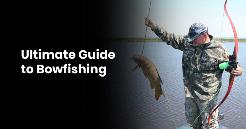 Ultimate Guide To Bowfishing