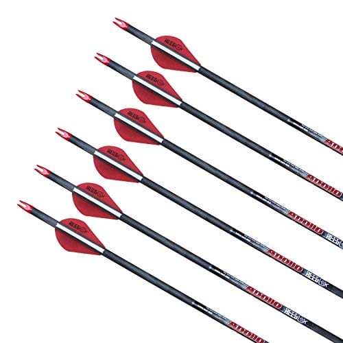 REEGOX Archery Arrows